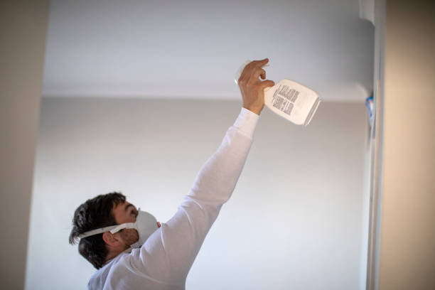 Best Water Damage Restoration  in Braddock Hills, PA
