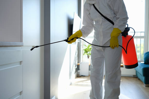 Best Mold Cleaning Services  in Braddock Hills, PA