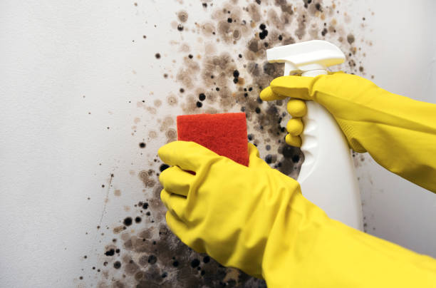 Water Damage Restoration in Braddock Hills, PA